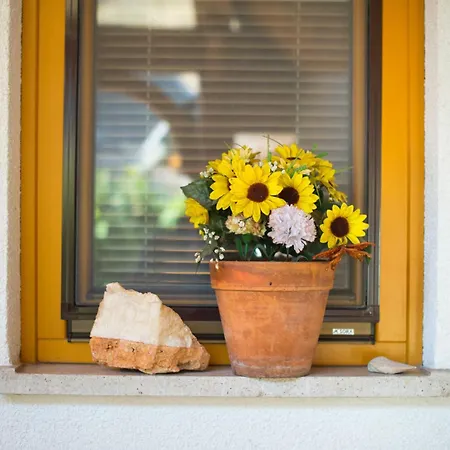 Апартаменты Rooms&apartments Pazlar Блед