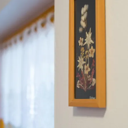 Rooms&apartments Pazlar