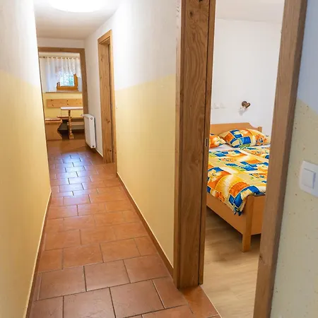 Rooms&apartments Pazlarjerman 公寓 *